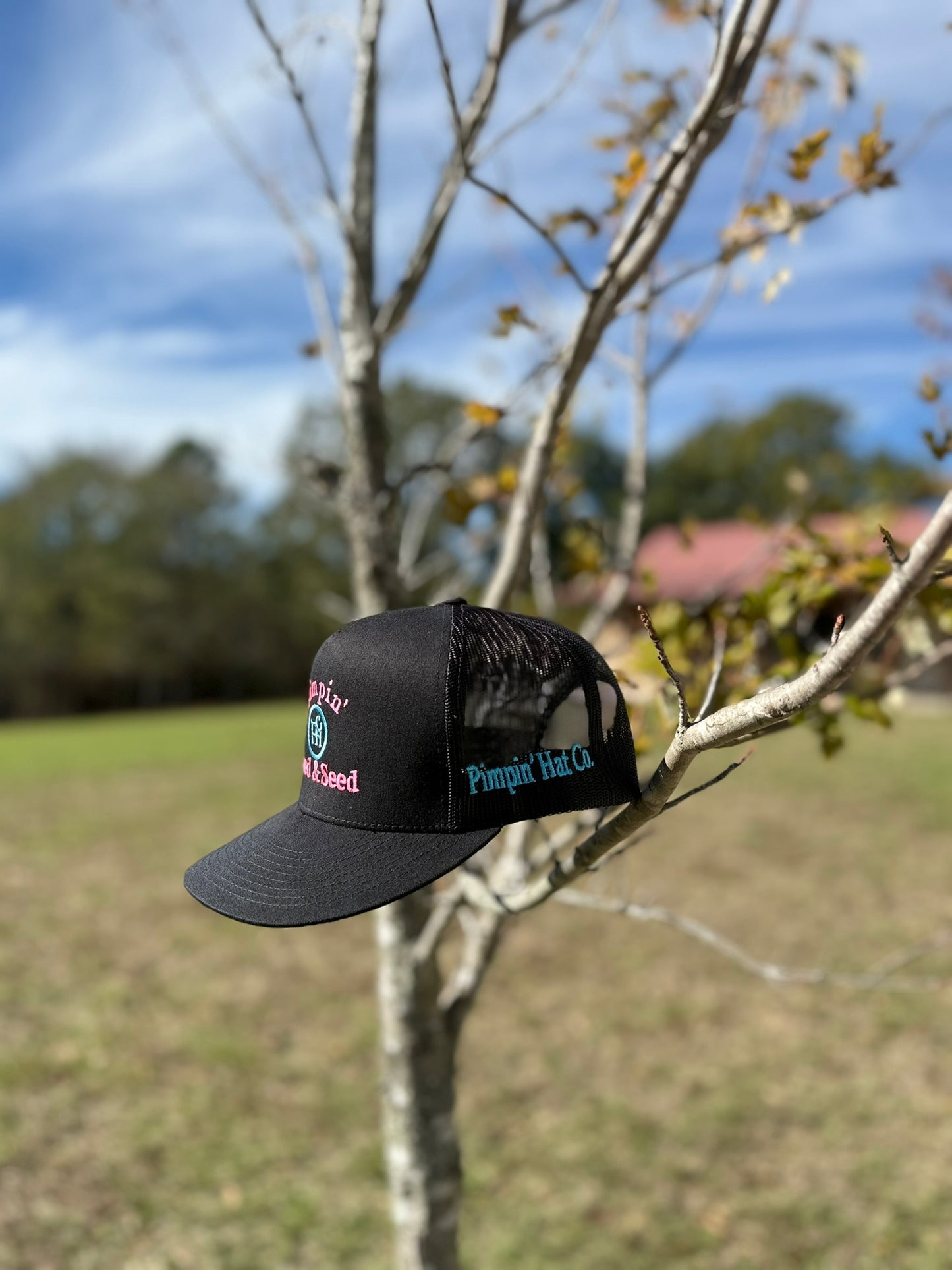 Pink&Turquoise Pimpin' Feed & Seed (Black SnapBack)