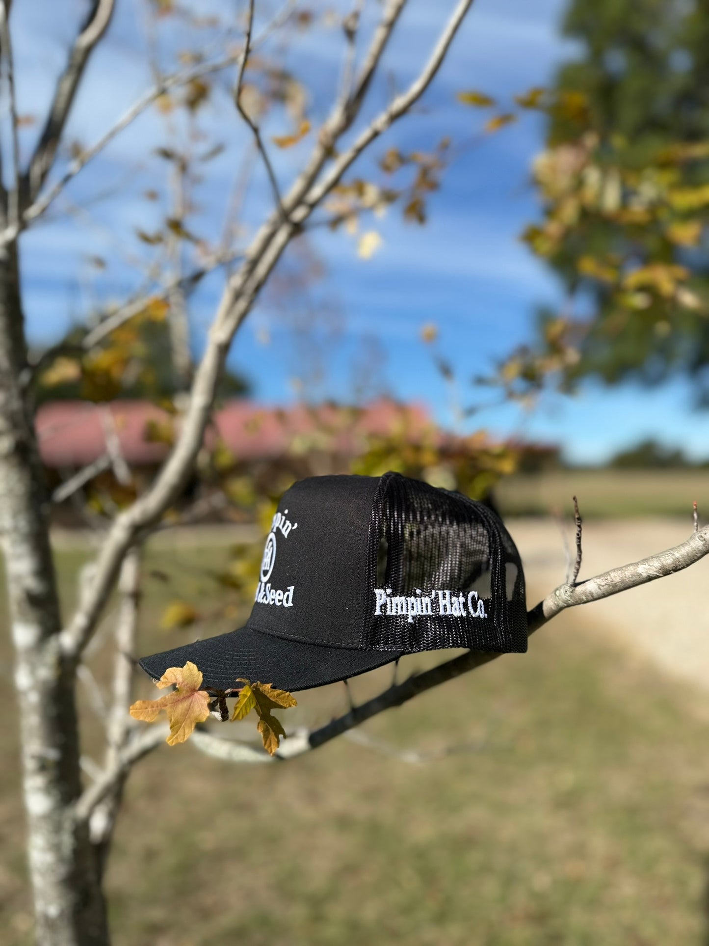 White Pimpin' Feed & Seed (Black SnapBack)