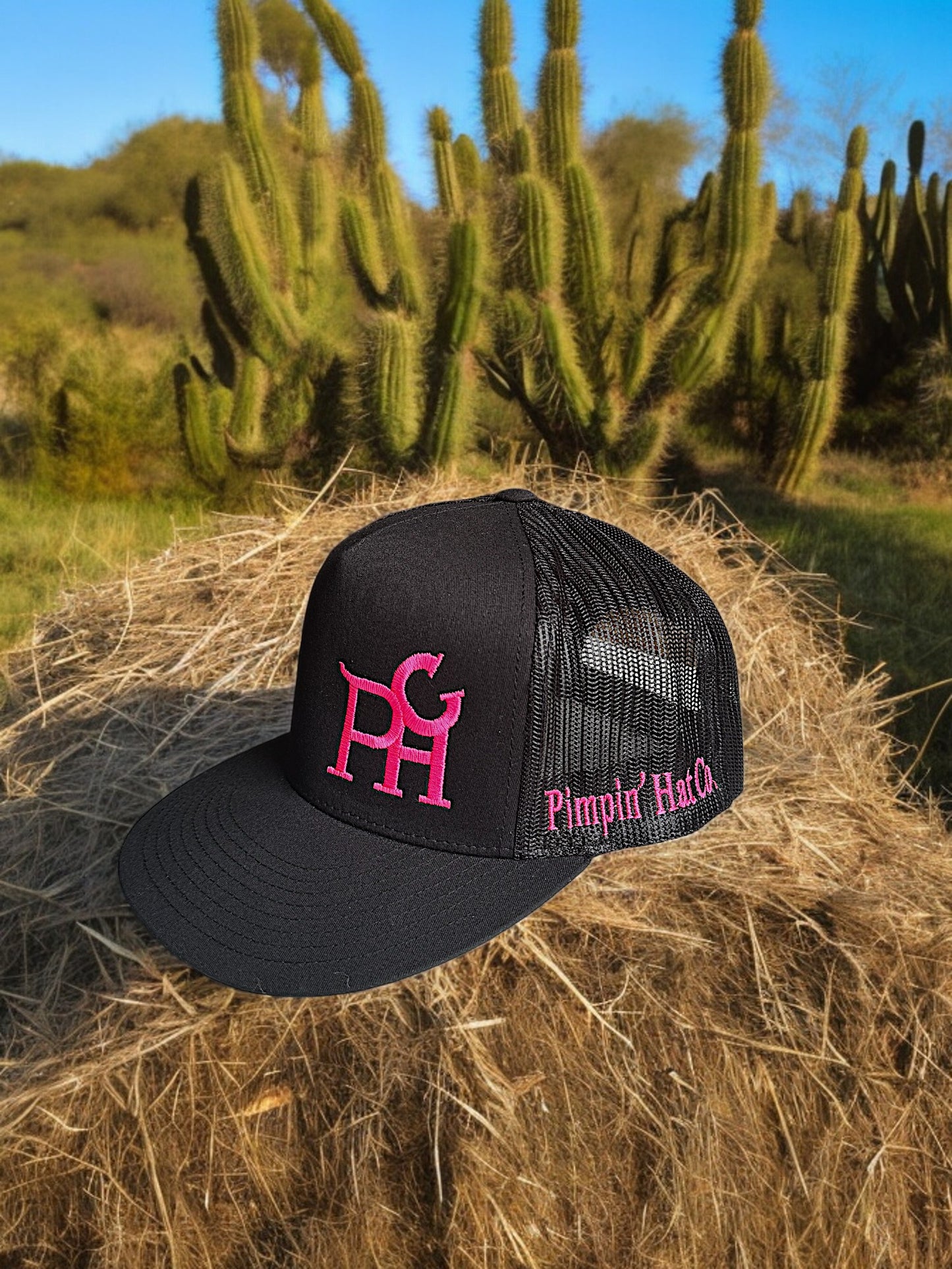 Pink PHC (Black Snapback)