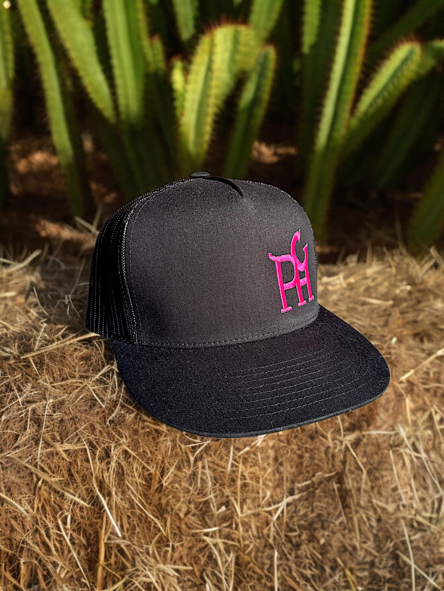 Pink PHC (Black Snapback)