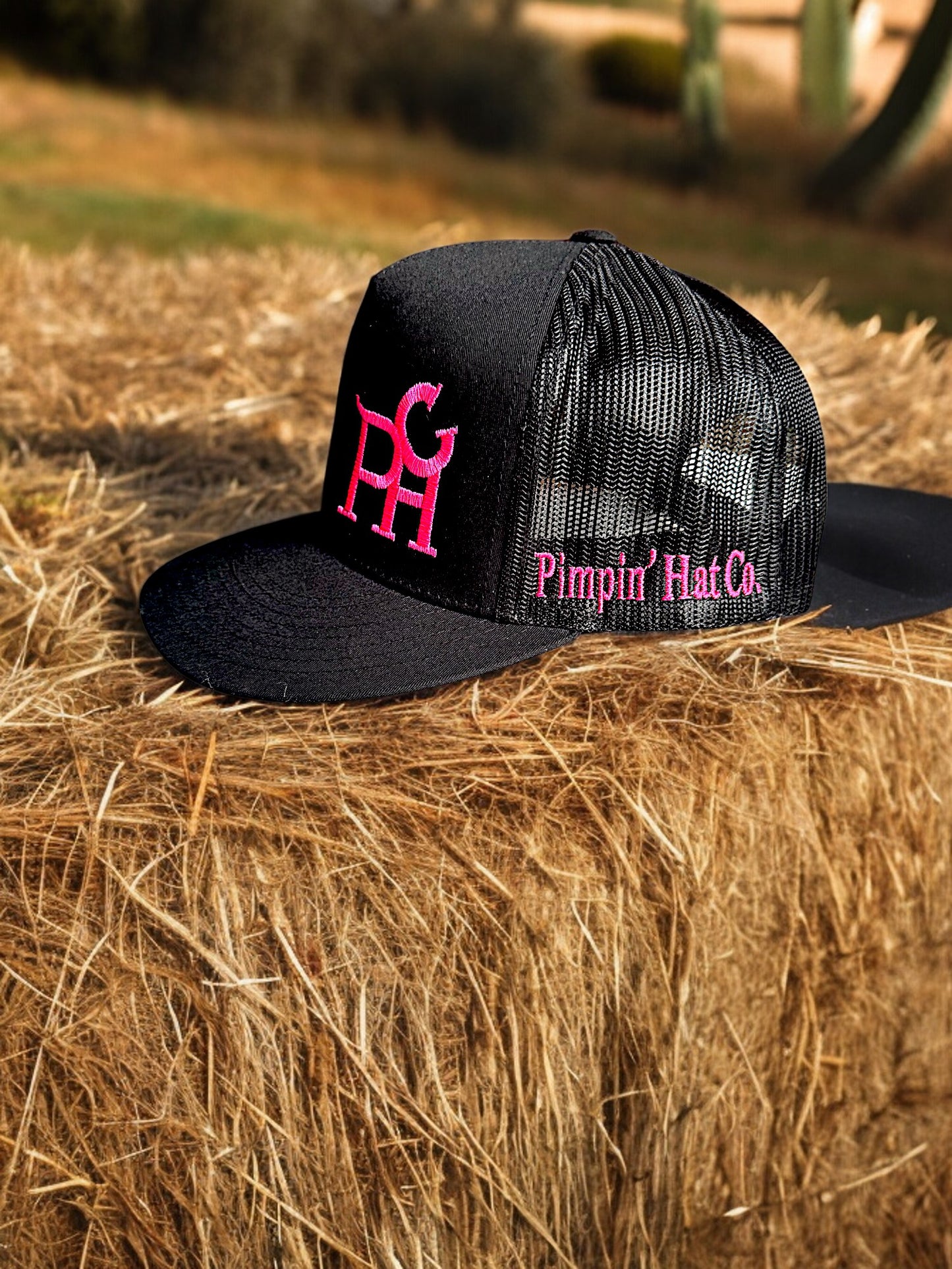 Pink PHC (Black Snapback)