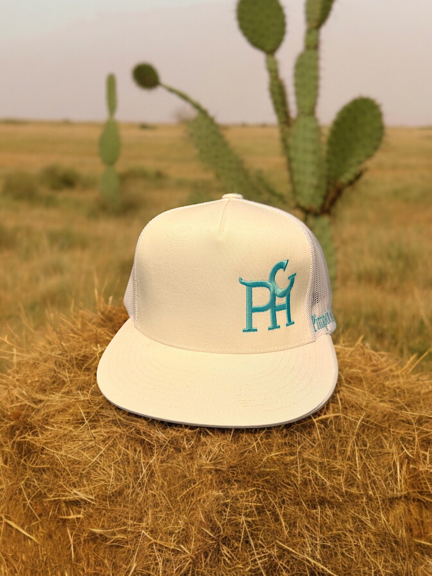 Turquoise PHC (White Snapback)