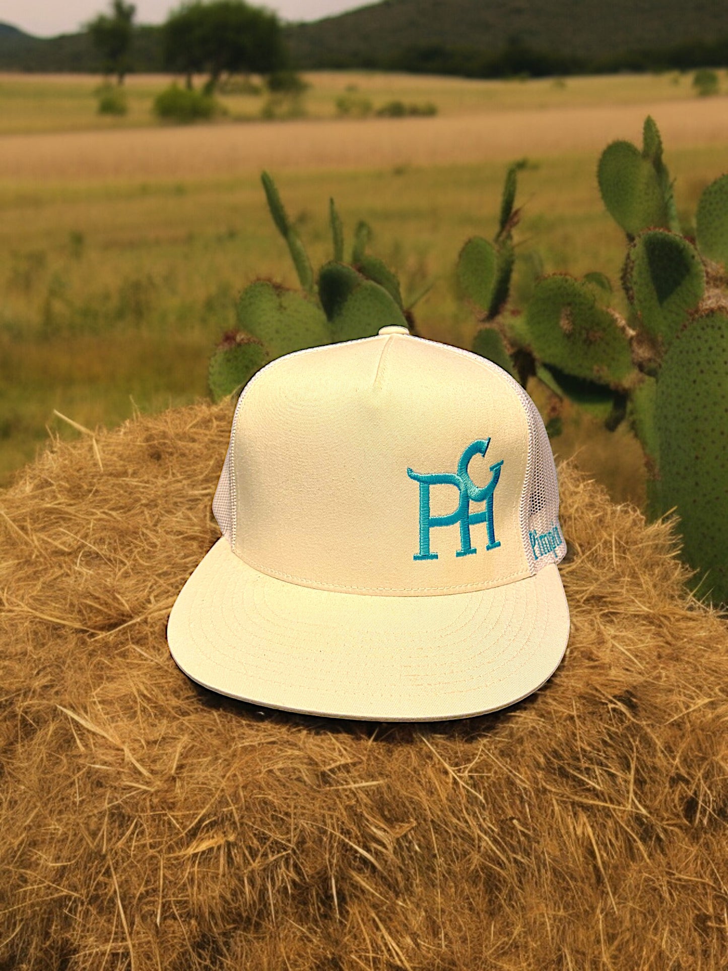 Turquoise PHC (White Snapback)