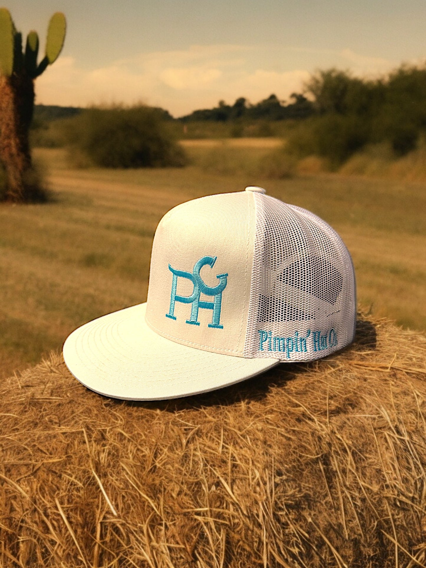 Turquoise PHC (White Snapback)