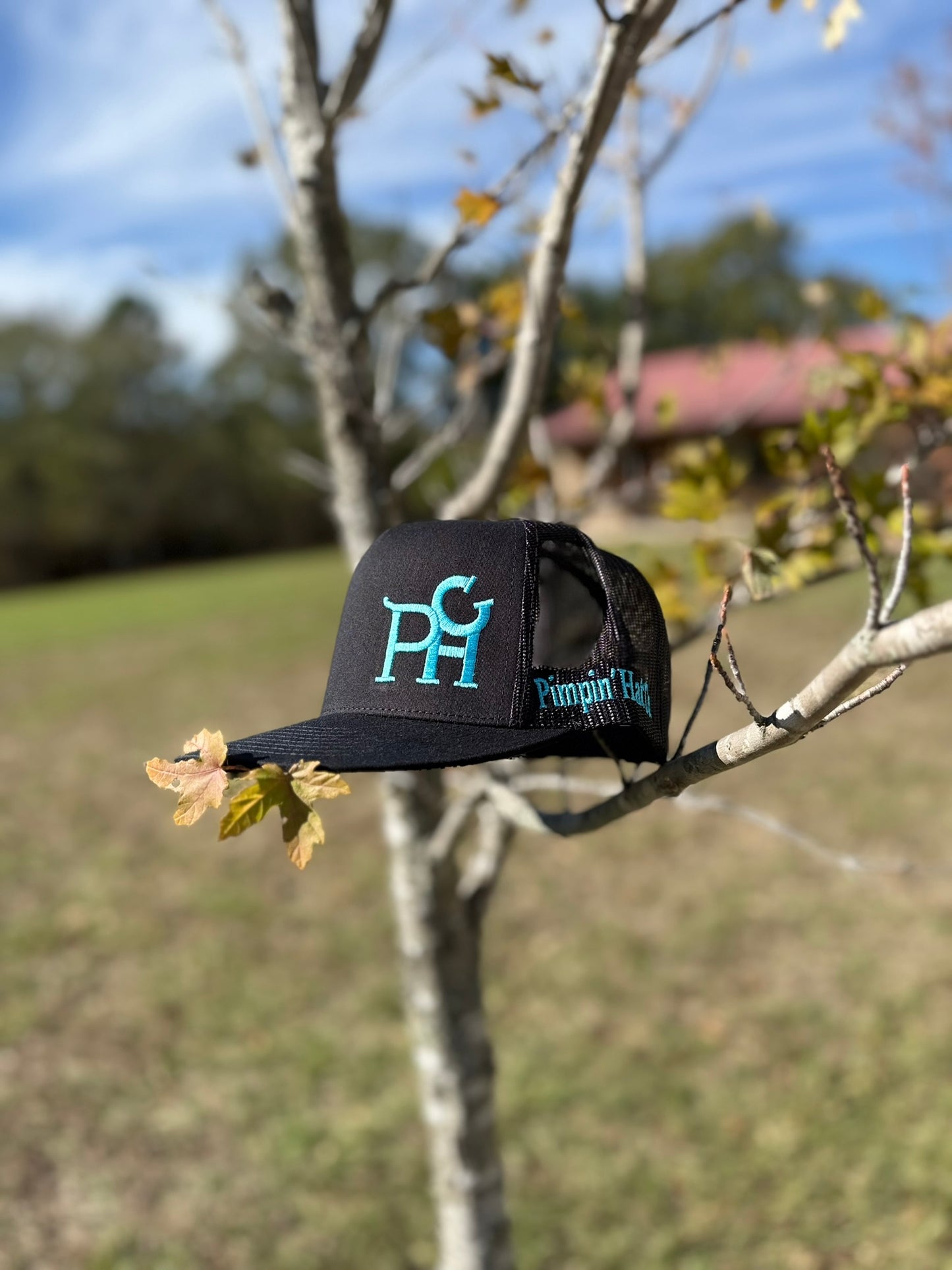 Turquoise PHC (Black Snapback)