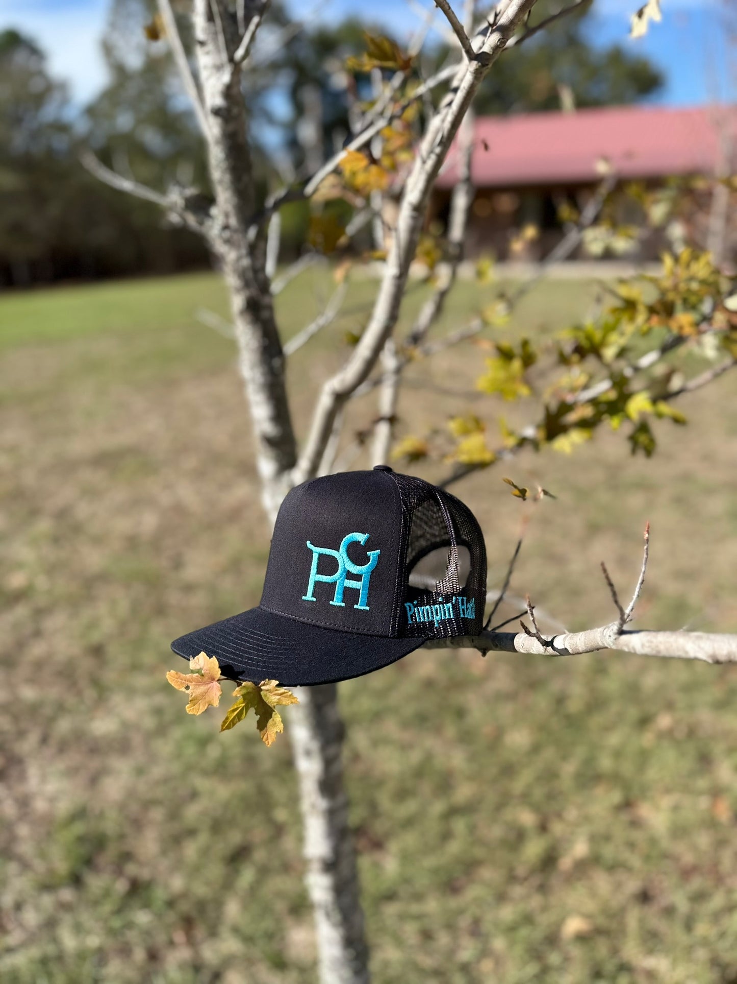 Turquoise PHC (Black Snapback)