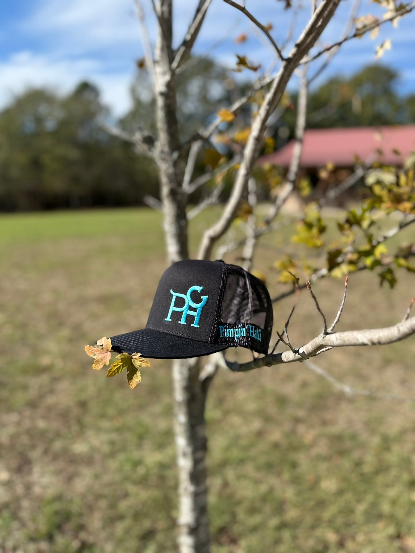 Turquoise PHC (Black Snapback)