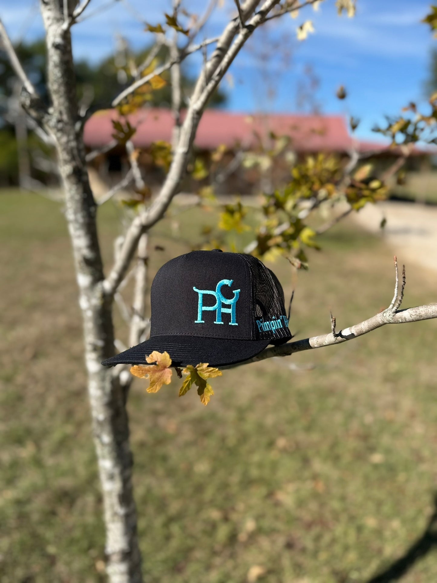 Turquoise PHC (Black Snapback)